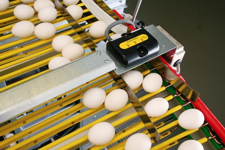 Counting eggs on rod conveyor